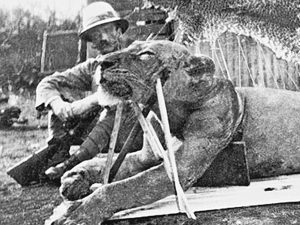 John Henry Patterson à Tsavo