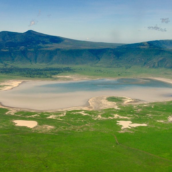 Tsavo Ngorongoro